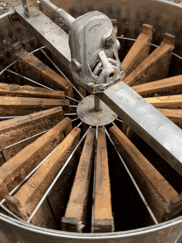 Honey harvesting process