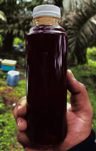 Honey harvesting process