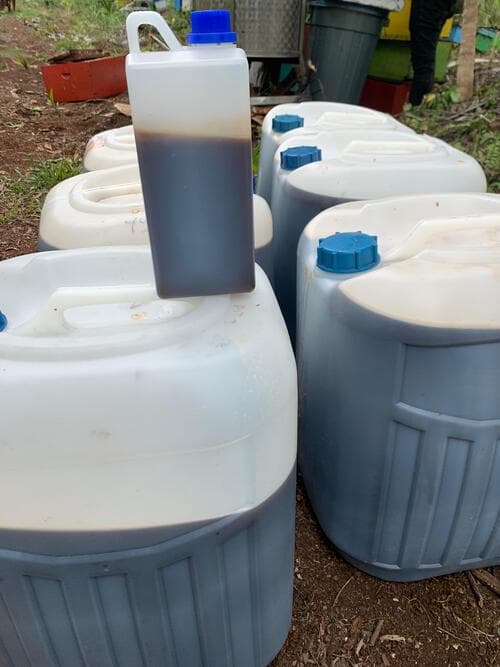 Honey harvesting process