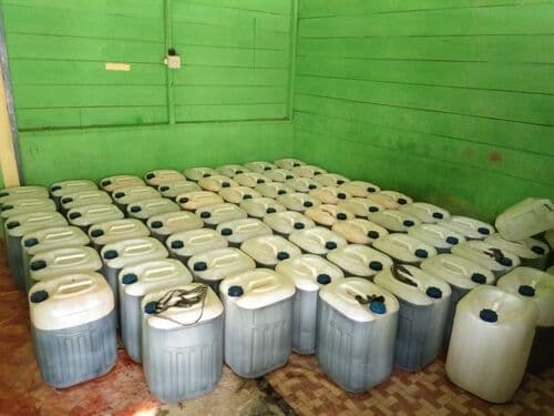 Honey harvesting process