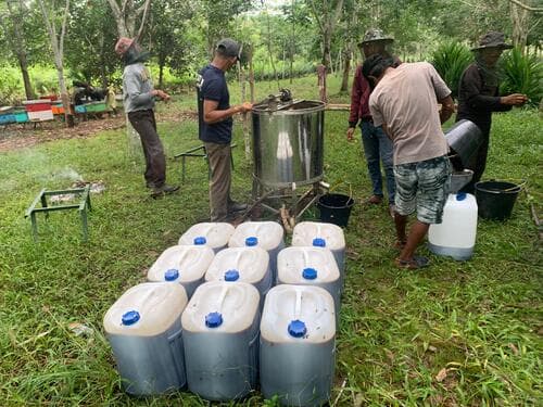 Honey harvesting process
