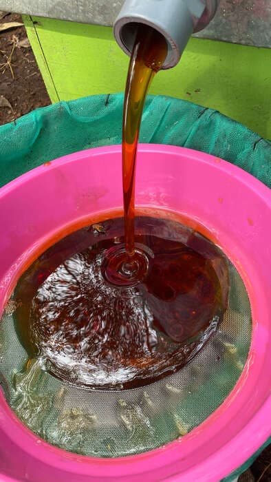 Honey harvesting process